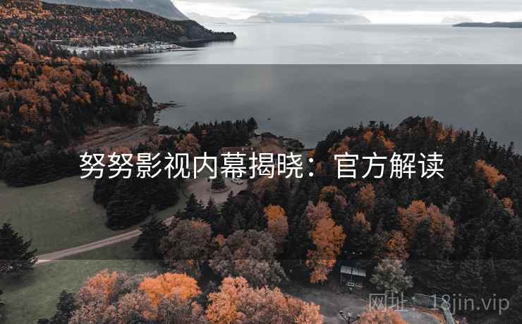 努努影视内幕揭晓：官方解读